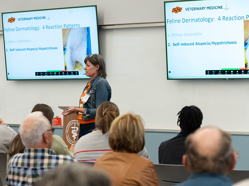 A woman addresses a crowd regarding feline dermatology.