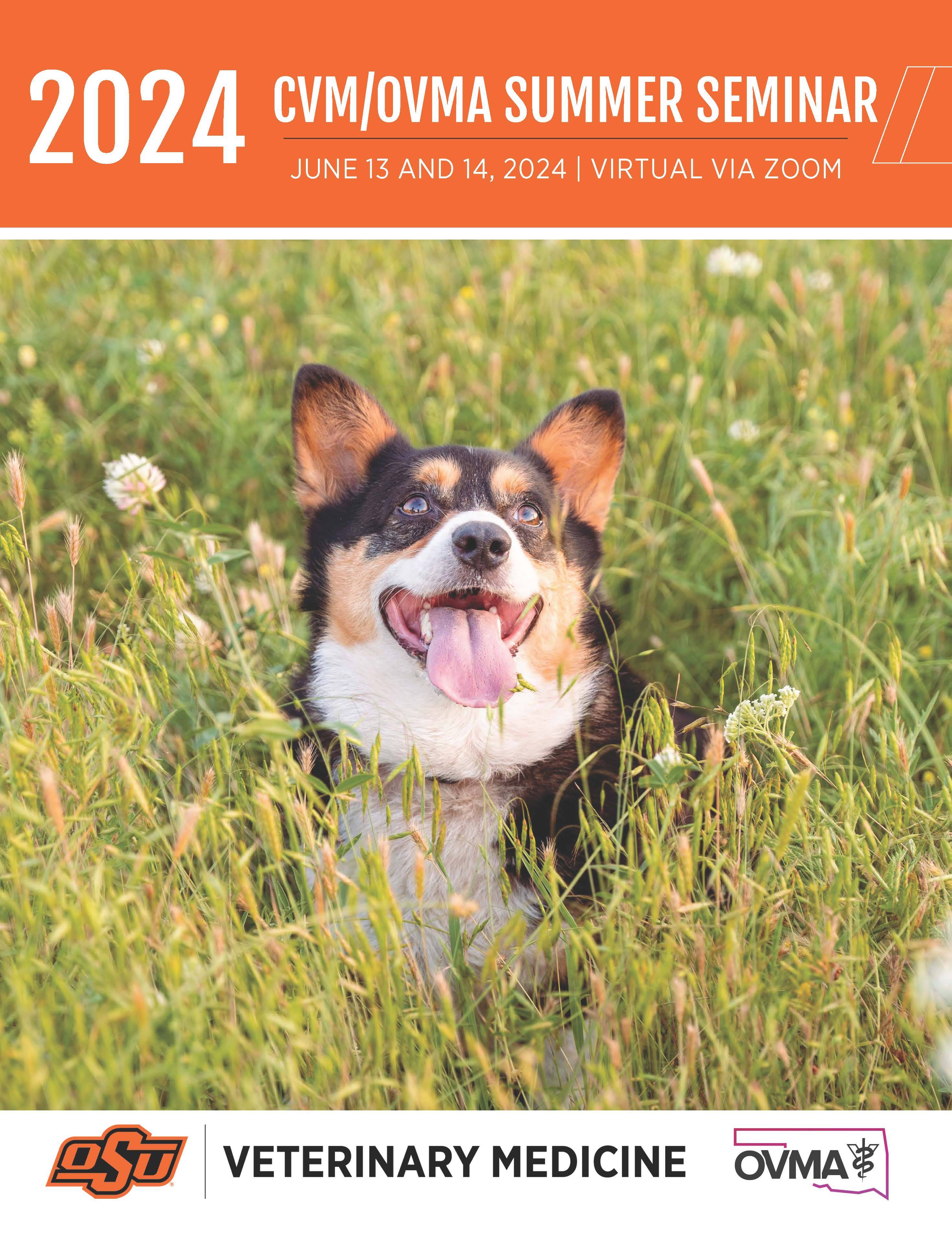 summer seminar cover with dog