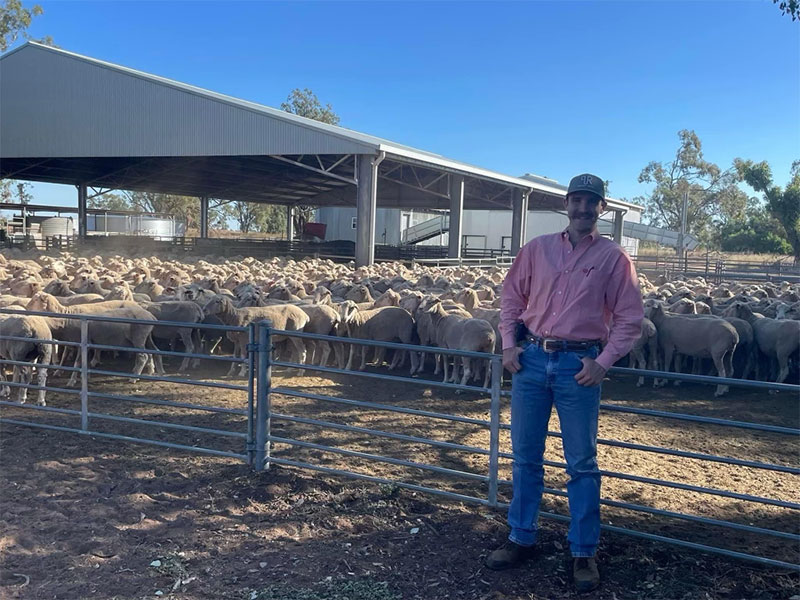 Wyatt Catron poses with sheep flock in Australia