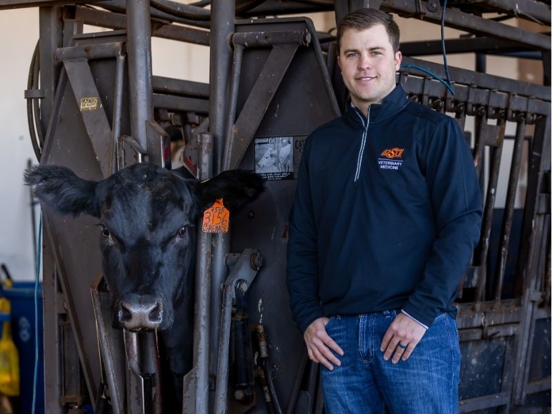 will shelby poses by cow in chute