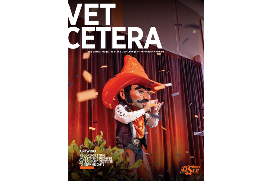 vet-cetera-25