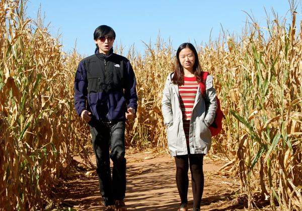 lab member in corn maze