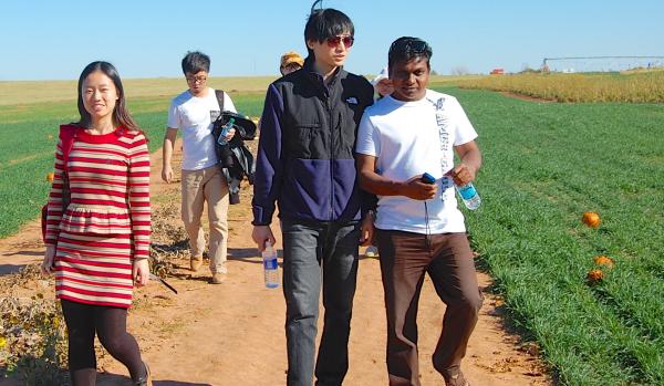 Lab members walk in a wheat field
